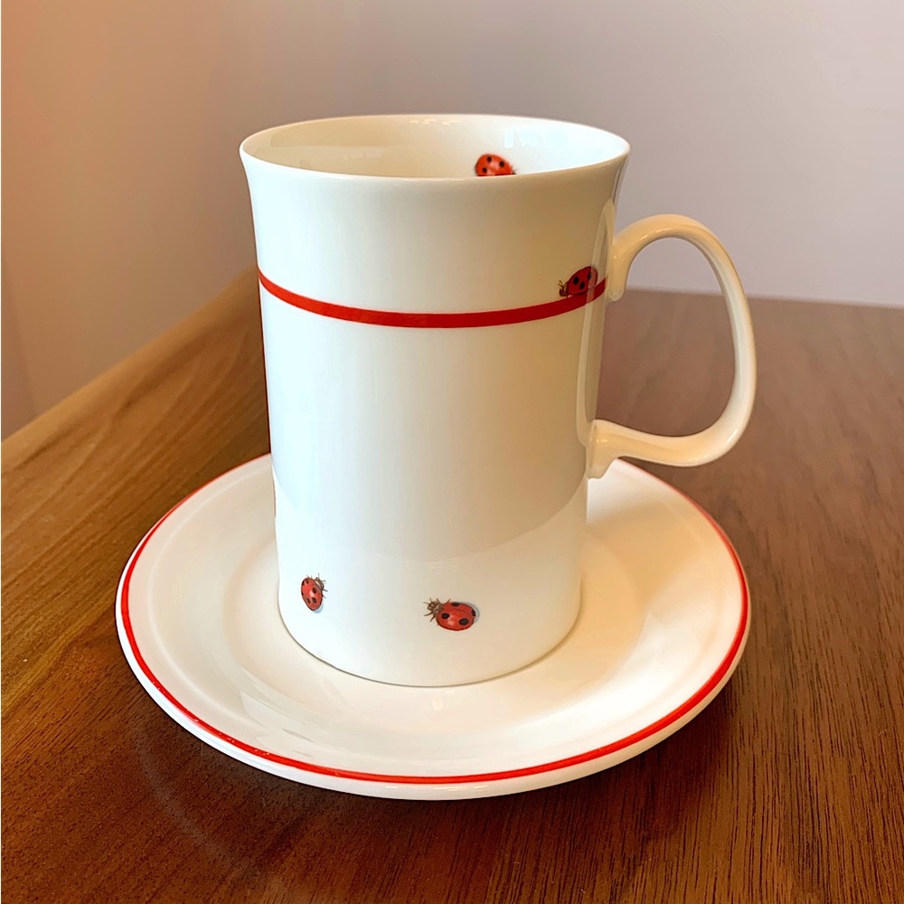 Dunoon ladybug mini mug